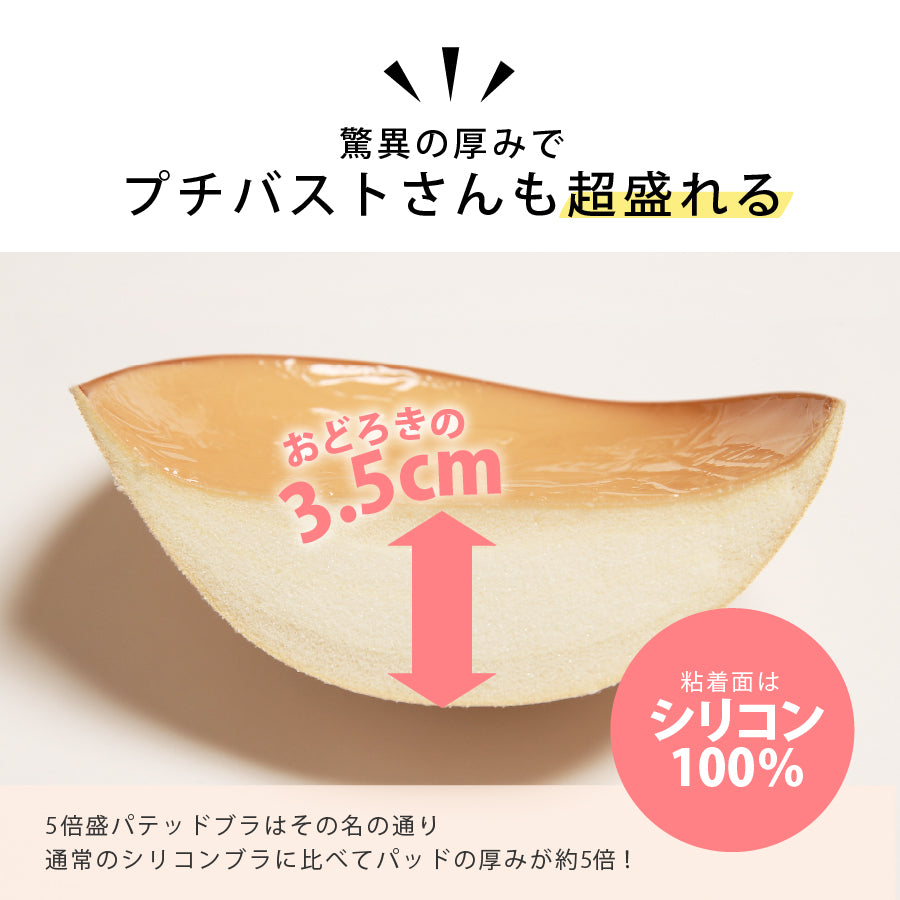 5倍盛 パテッドブラ